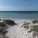 Con Terrazza Sul Mare Σπίτι διακοπών